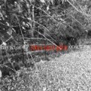 Lotus Land Pilot - Lemon