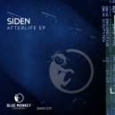 SIDEN - State Of Art (Original Mix)