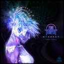 Zone Tempest - Synergy