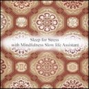 Mindfulness Slow Life Assistant - Vibration & Relaxation (Original Mix)