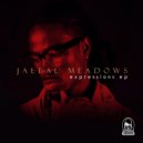 Jaleal Meadows - Fly Away (Deep Sole Syndicate Instrumental Remix)