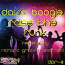 David Boogie - Raise The Funk (Richard Groove Remix)