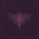 Sex Of Insects - All I Have A Know