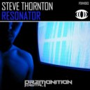 Steve Thornton - Resonator