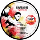 Havana Dub - Somebody Else (Original Mix)