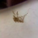 Howtobeanastronaut - Lys (Original Mix)