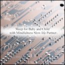 Mindfulness Slow Life Partner - Jurassic & Self Pleasure