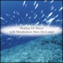 Mindfulness Slow life Center - Asphalt and Delicateness