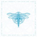 Sex Of Insects - I Can Hear The Light