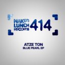 Atze Ton - Monster (Original Mix)