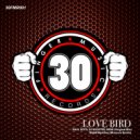 Raul Soto, DJ Rooster, MDW - Love Bird