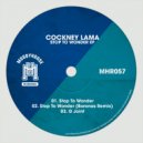 Cockney Lama - Stop To Wonder (Boronas Remix)