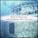 Mindfulness Slow life Center - Hydra & Sensitivity (Original Mix)