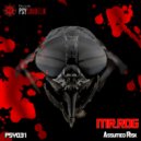 Mr. Rog - Low Minimum (Original Mix)