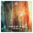Singular Mind - Take Me Higher (Original Mix)