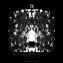 VCI - Scattered Fractals