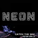 Peter Mills - Catch The Sky
