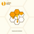 CAPTIVE - Honey (Original Mix)