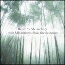 Mindfulness Slow Life Selection - Ordovician & Relaxation (Original Mix)