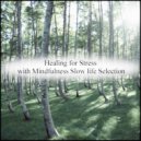 Mindfulness Slow Life Selection - Nietzsche & Positive Thinking (Original Mix)