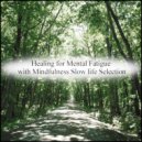 Mindfulness Slow Life Selection - Newton & Nervousness (Original Mix)