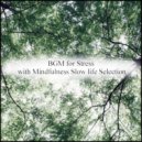 Mindfulness Slow Life Selection - Granite & Coping Skills (Original Mix)