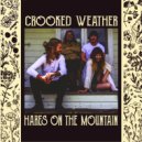 Crooked Weather - Hares On The Mountain