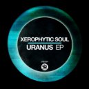 Xerophytic Soul - Ascention
