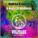 Andrea D\'amore - A Night Of Madness (Original Mix)