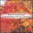 Mindfulness Slow Life Laboratory - Development & Hearing (Original Mix)