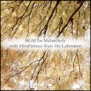 Mindfulness Slow Life Laboratory - Comet & Rest (Original Mix)