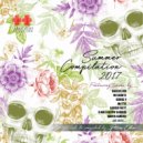 Petros Odin - Plus Plus Summer Compilation 2017 (Continuous Mix)