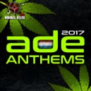 Dream Sound Masters - Ibiza House 2017