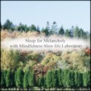 Mindfulness Slow Life Laboratory - Andromeda & Anxiety