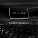 Bjoern Torwellen - Ugarit