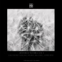 Maccaaria - Lpsmsmrcvrddplgs