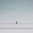 Danniel Selfmade - Glow's Transition