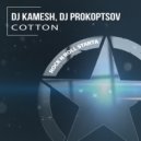 DJ Kamesh, DJ Prokoptsov - Cotton (Original Mix)