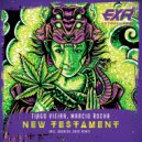 Tiago Vieira, Mauz - New Testament (Dogreen Remix)