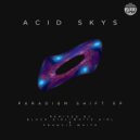 Acid Skys - Paradigm Shift (Black Girl / White Girl \'Basement\' Remix)