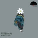 Totsumal - Miyako Acid (Takaha Remix)