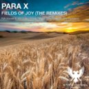 Para X - Fields Of Joy