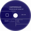 Carterwalks - Voices In My Head (Original Mix)