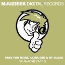 Pray For More, Akira Dee & GT Slaag - So Amazing (Stefan K Remix)