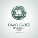 David Garez - 303 (A.Paul Remix)