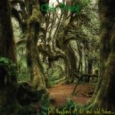 Andy Pashq - Outspaced In Swamp