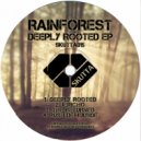 Rainforest - Push Dem Aside (Original Mix)