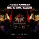 Agent Kritsek, Total Stranger - Strange Agent (Original Mix)
