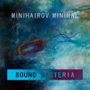 Minihairov Minimal - The Time Has Come