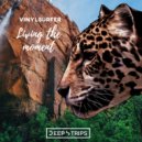 Vinylsurfer - Living The Moment (Discase Remix)